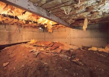 crawl-space-insulation-best-practices-vented-vs-se-1